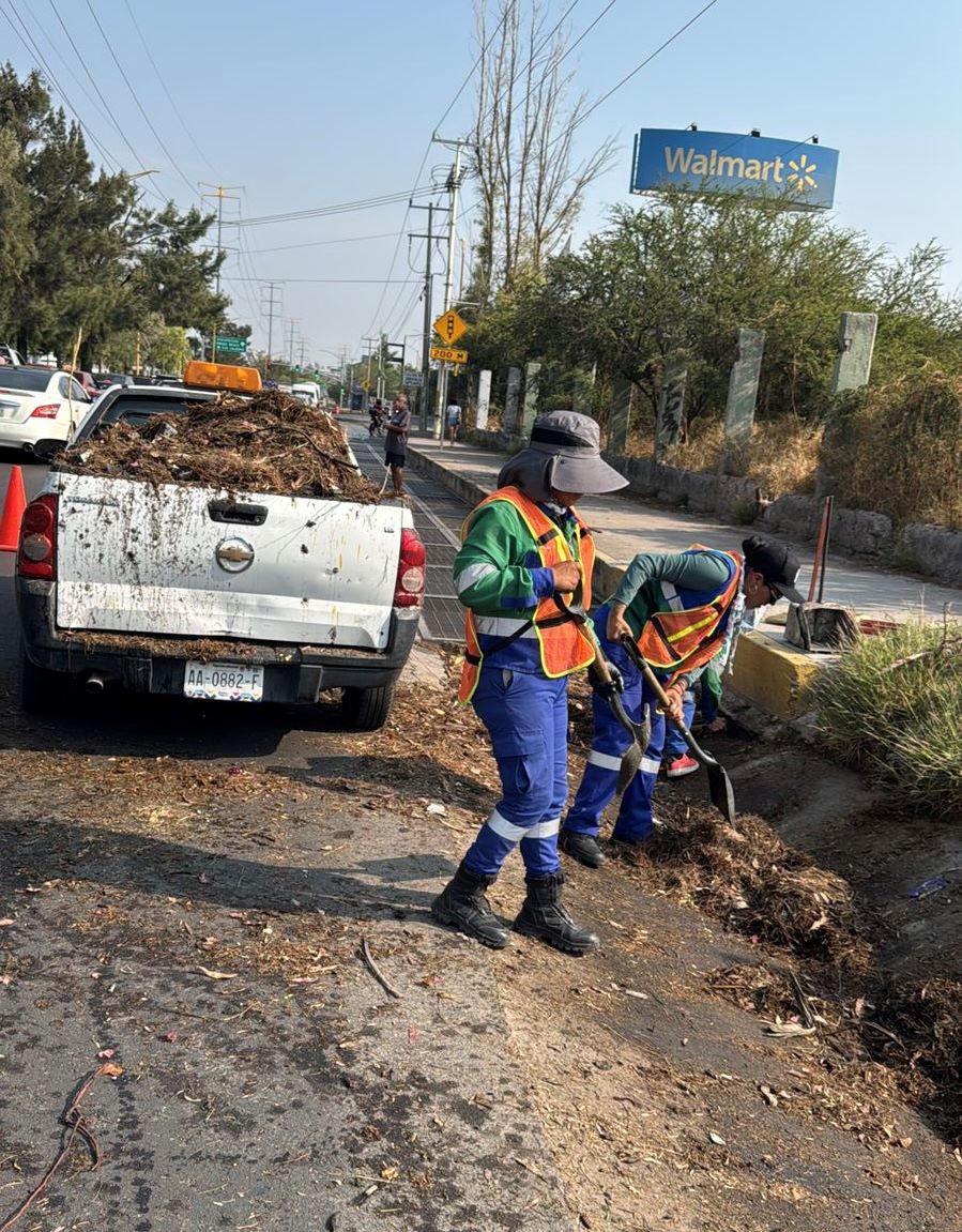 IMG 16161 INTENSIFICA MUNICIPIO LIMPIEZA DE CAIMANES Y CANALETAS