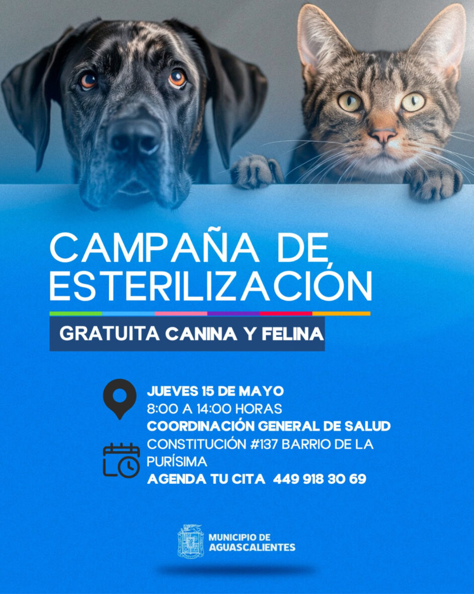 Imagen de WhatsApp 2025 05 06 a las 09.13.49 9f822f41 scaled ABREN NUEVAS FECHAS PARA ESTERILIZACIONES GRATUITAS CANINAS Y FELINAS