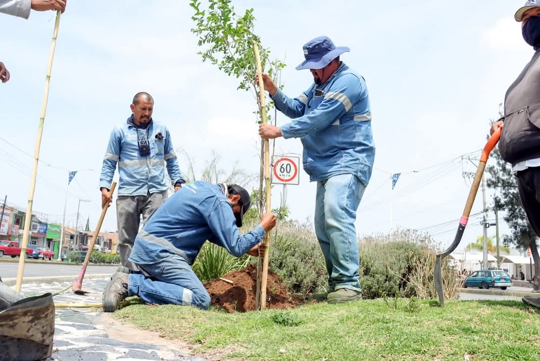 FB IMG 1749314166695 INTENSIFICÓ MUNICIPIO ACCIONES DE REFORESTACIÓN EN LA SEMANA DEL MEDIO AMBIENTE