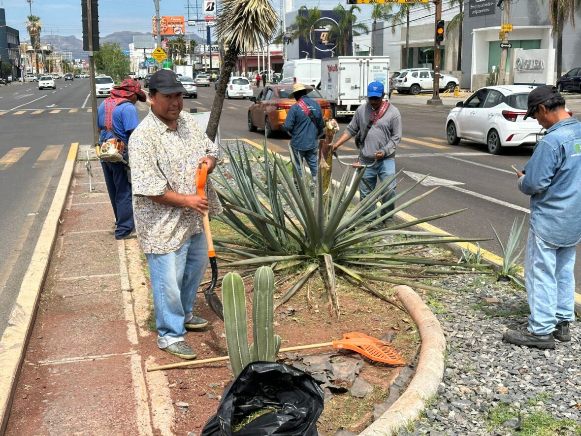 Imagen de WhatsApp 2025 06 10 a las 12.13.48 eb3d6b58 scaled MUNICIPIO LLEVA A CABO OPERATIVO DE MANTENIMIENTO Y REHABILITACIÓN EN PRIMER ANILLO DE CIRCUNVALACIÓN
