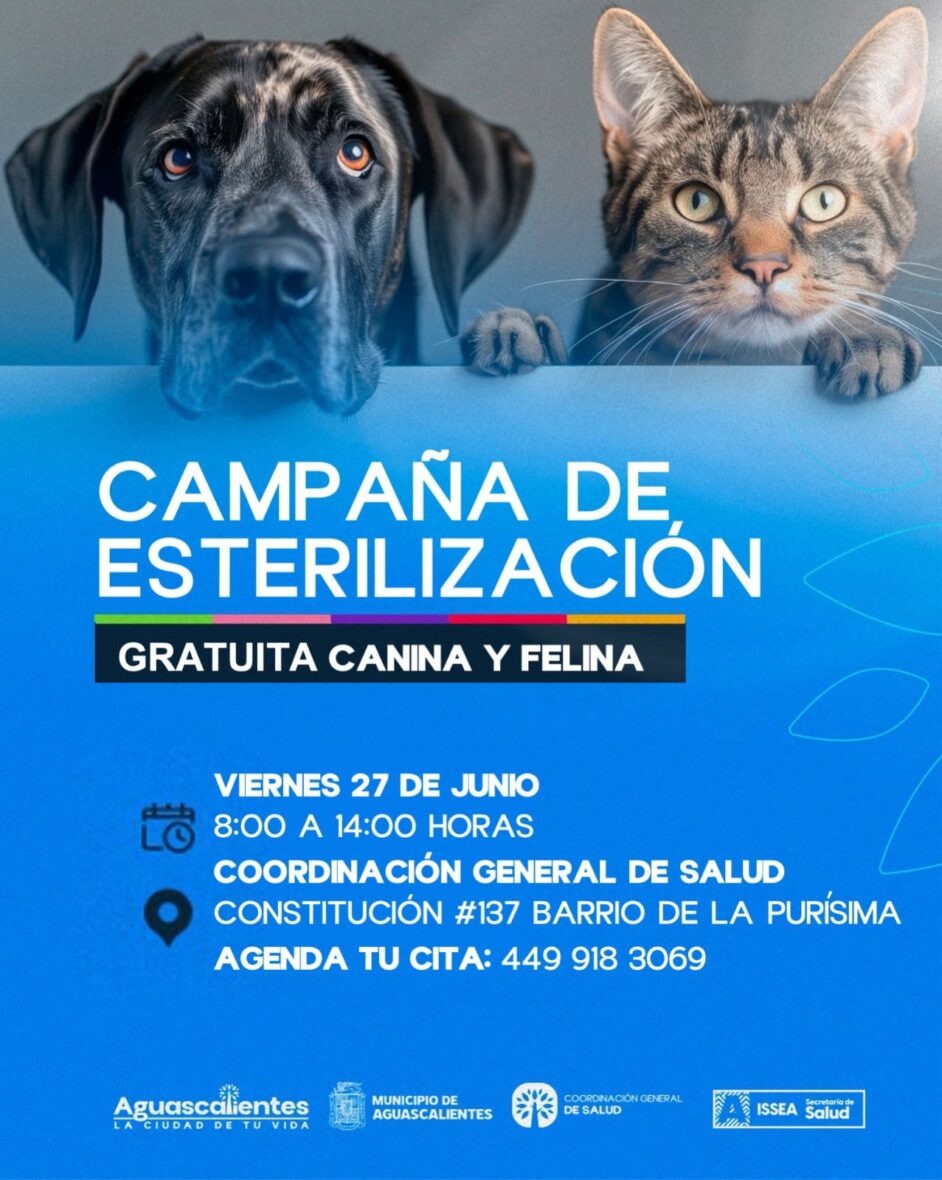 Imagen de WhatsApp 2025 06 13 a las 12.38.13 d1b3ca11 scaled NUEVAS FECHAS PARA ESTERILIZACIONES GRATUITAS CANINAS Y FELINAS