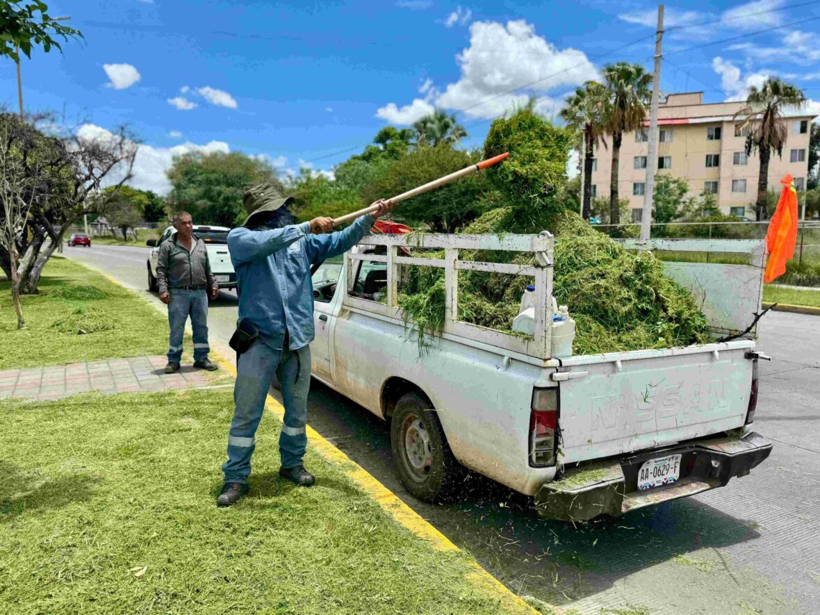 WhatsApp Image 2025 07 30 at 3.03.31 PM 1 scaled 1 scaled REFUERZA MUNICIPIO MANTENIMIENTO DE CAMELLÓN CENTRAL DE PRIMER ANILLO