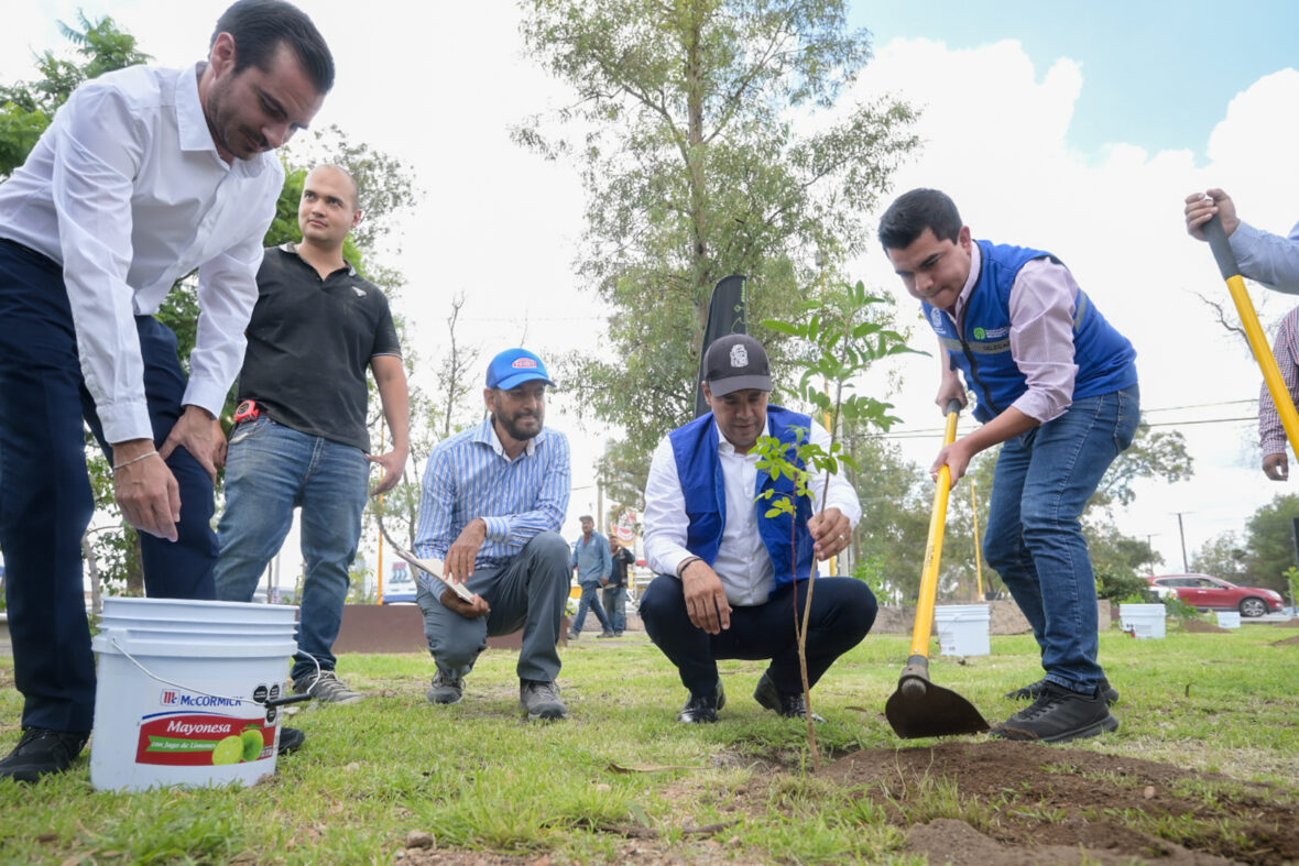 CMC 7616 scaled REALIZA MUNICIPIO DE AGUASCALIENTES ARBORIZACIÓN EN CANAL INTERCEPTOR