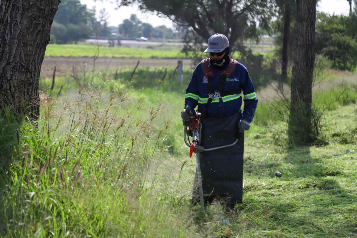 IMG 9142 scaled MACRO OPERATIVO DE LIMPIEZA EN CARRETERA AL AEROPUERTO