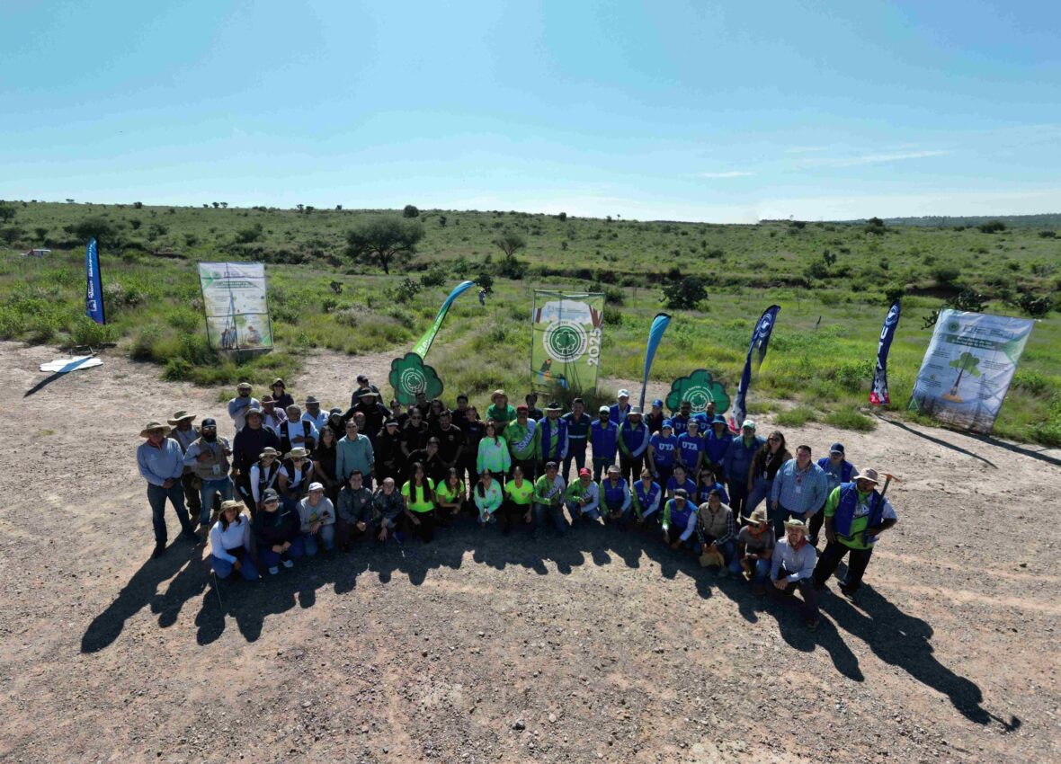 dji fly 20250806 082336 162 1754497168539 pano1 scaled 1 scaled REALIZA MUNICIPIO MEGA REFORESTACIÓN EN EL ÁREA NATURAL PROTEGIDA BOSQUE DE COBOS