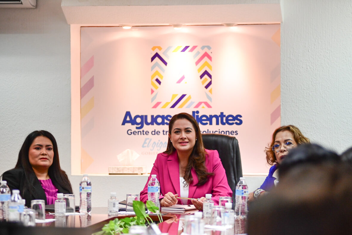 DSC 9870.JPG scaled GOBIERNO DEL ESTADO Y DIDI DARÁN TRANSPORTE A PERSONAS CON DISCAPACIDAD Y PARTICIPANTES DE LA PARALIMPIADA NACIONAL