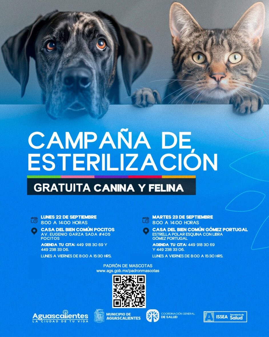 Diapositiva1 6 scaled LLEVARÁN A CABO JORNADAS DE ESTERILIZACIÓN GRATUITAS CANINAS Y FELINAS EN CASAS DEL BIEN COMÚN