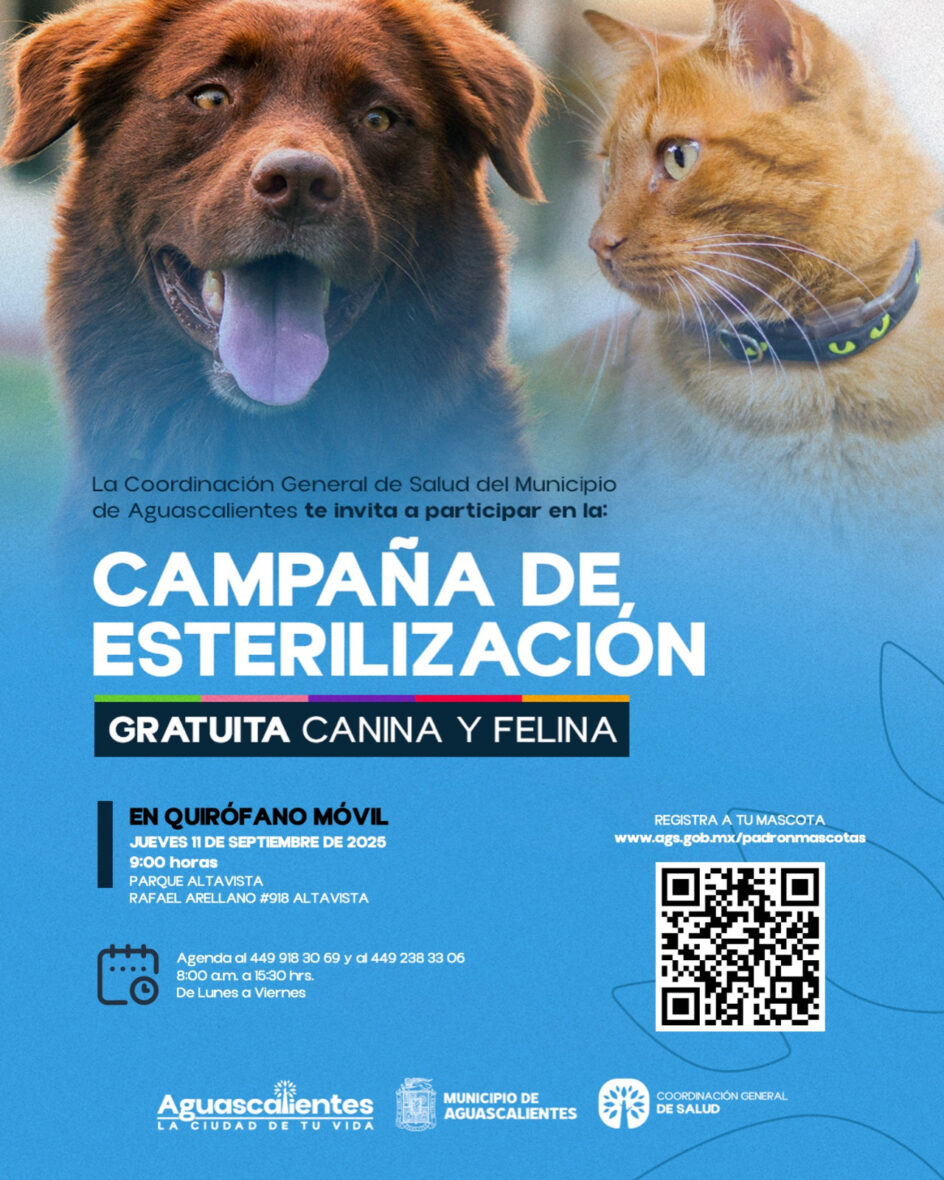 IMG 20250905 WA0273 scaled ANUNCIA MUNICIPIO DE AGUASCALIENTES NUEVA JORNADA DE ESTERILIZACIÓN CANINA Y FELINA EN EL PARQUE DE LA ALTAVISTA