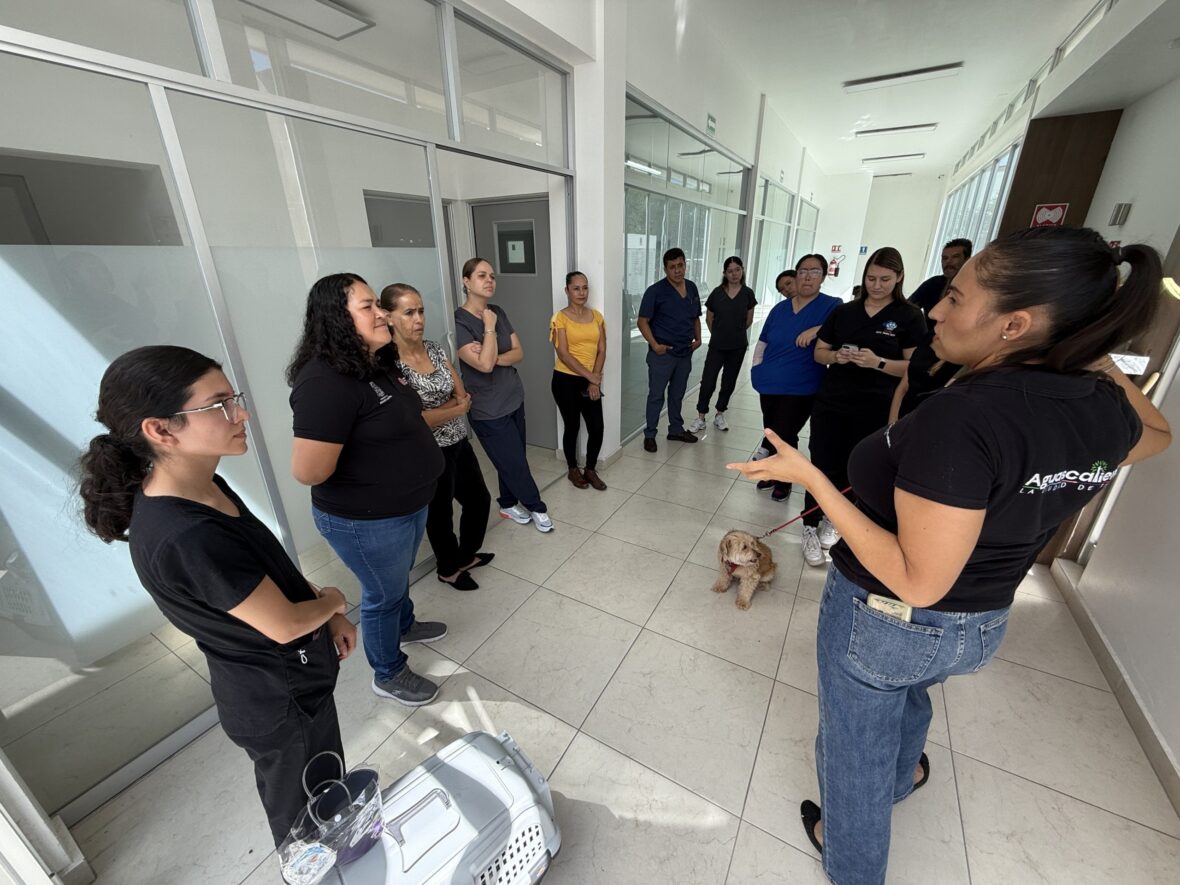 IMG 4573 scaled 1 scaled AVANZA LA CAPACITACIÓN DEL PERSONAL QUE ESTARÁ EN EL HOSPITAL VETERINARIO