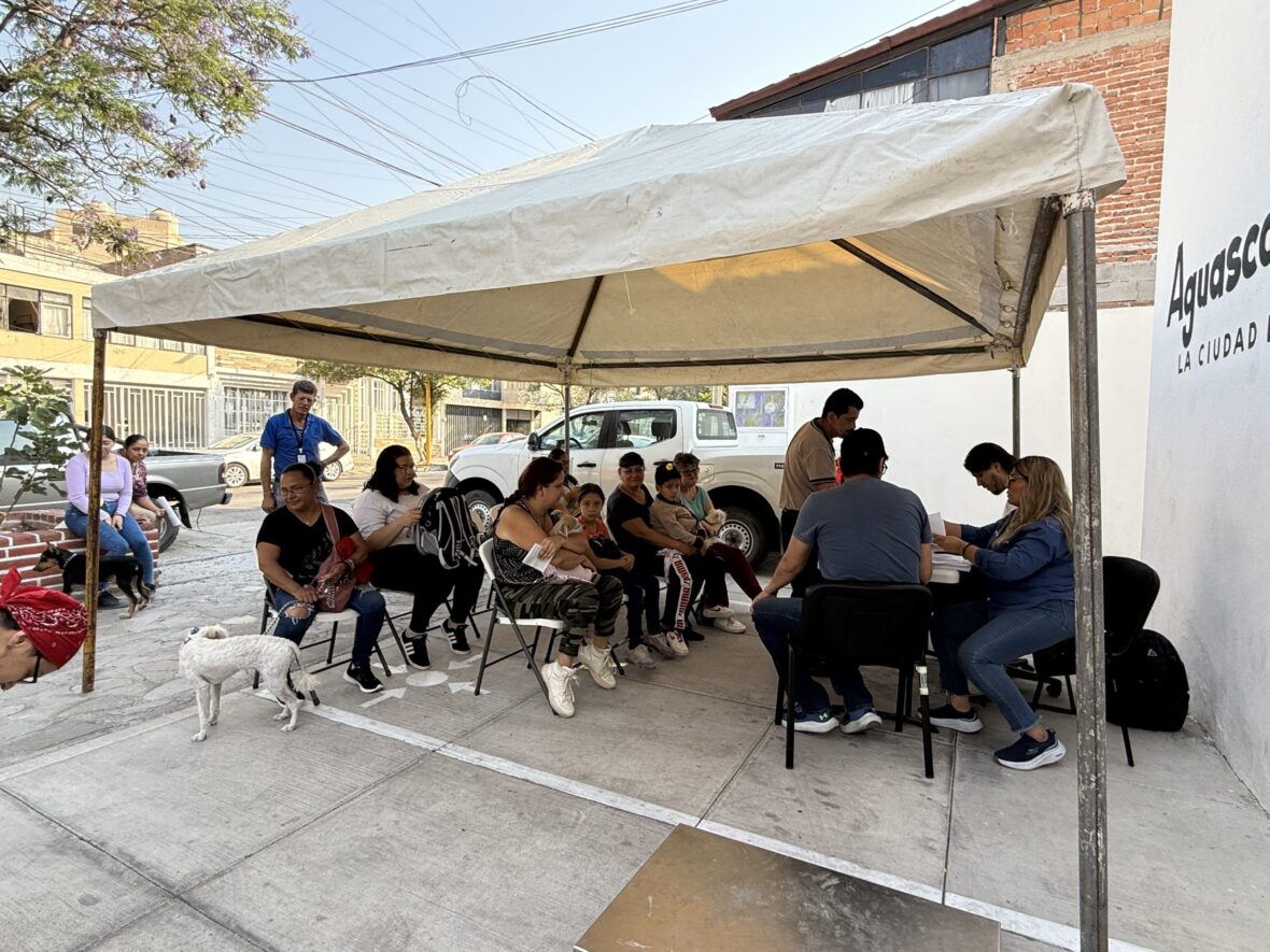 IMG 6987 scaled 1 scaled NUEVA JORNADA DE ESTERILIZACIONES DE MASCOTAS EN COORDINACIÓN CON EL ISSEA