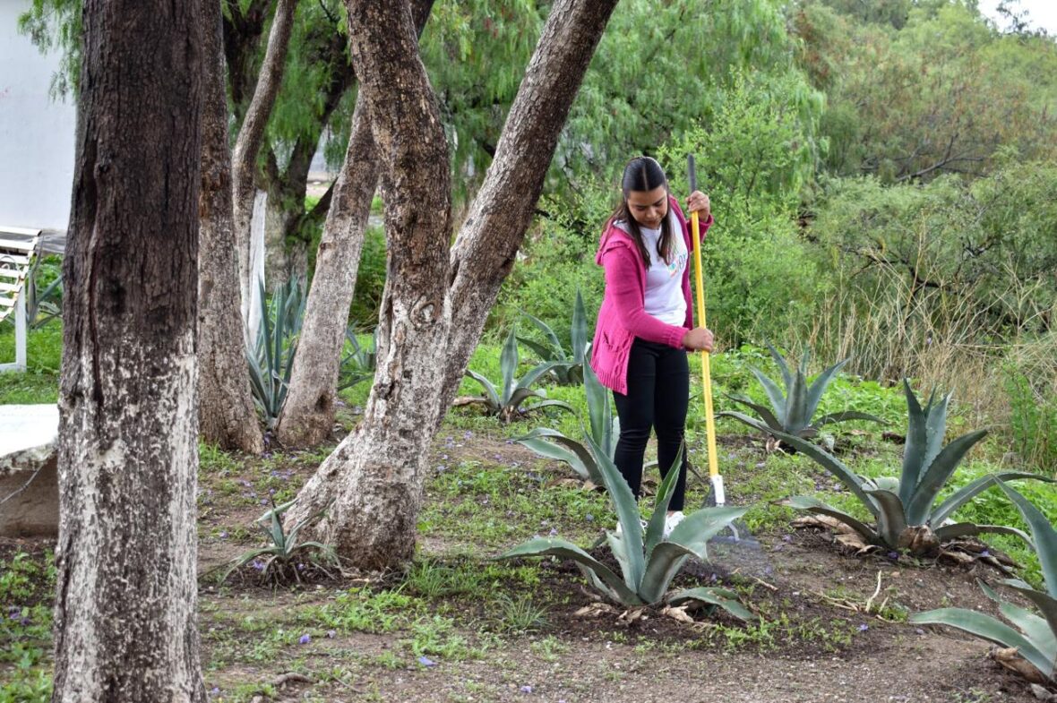 WhatsApp Image 2025 09 03 at 10.00.51 AM 2 scaled MÁS DE 14 MIL FAMILIAS Y SUS COMUNIDADES SE HAN VISTO BENEFICIADAS CON EL PROGRAMA DE EMPLEO TEMPORAL