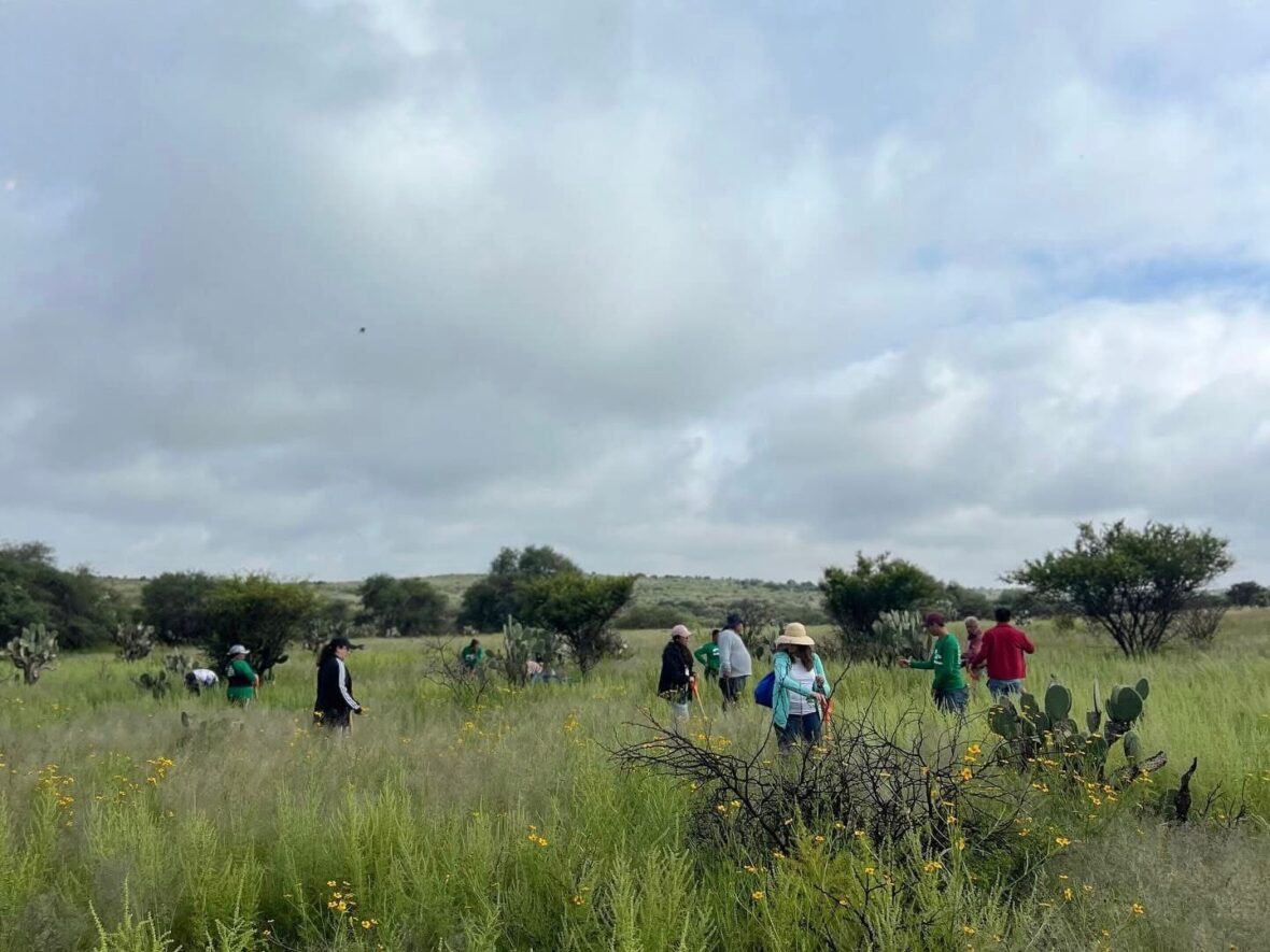 WhatsApp Image 2025 09 08 at 11.56.07 AM scaled SECRETARÍA DE MEDIO AMBIENTE Y CIUDADANÍA UNEN ESFUERZOS PARA REFORESTAR EL BOSQUE DE COBOS-PARGA