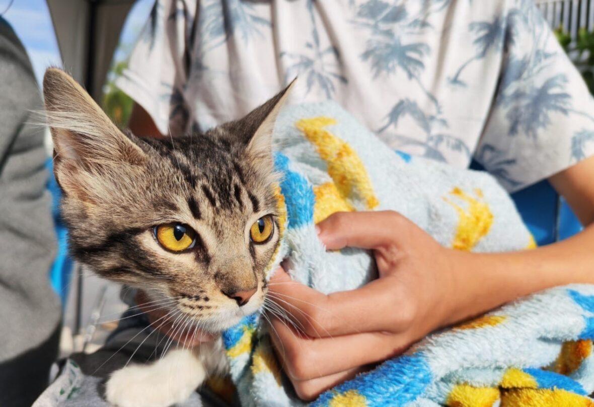 3eb8695a 696a 47c1 8430 7a21ec3aed65 1 scaled MUNICIPIO DE AGUASCALIENTES REALIZARÁ ESTERILIZACIONES GRATUITAS EN EL BARRIO DE LA PURÍSIMA