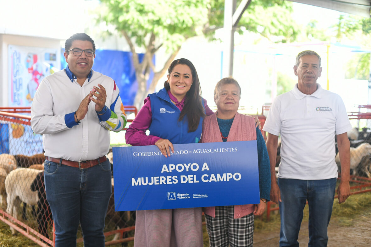 43.JPG scaled TERE JIMÉNEZ IMPULSA EL EMPRENDIMIENTO DE MUJERES DEL CAMPO CON ENTREGA DE BORREGOS