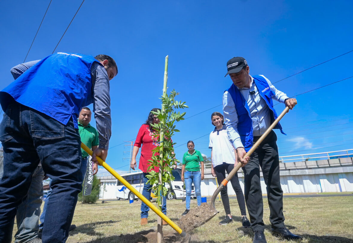 CMC 7207 scaled A TRAVÉS DEL PROGRAMA “EL ÁRBOL DE MI CASA”, SE REALIZA NUEVA JORNADA DE ARBORIZACIÓN