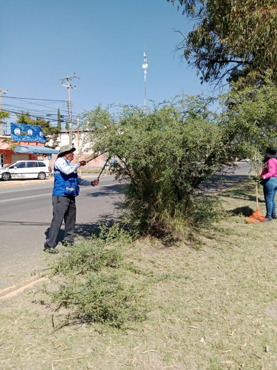 FOTO 021025 7 scaled REALIZA MUNICIPIO DE AGUASCALIENTES MEGA OPERATIVO DE LIMPIEZA EN AV. MAHATMA GANDHI