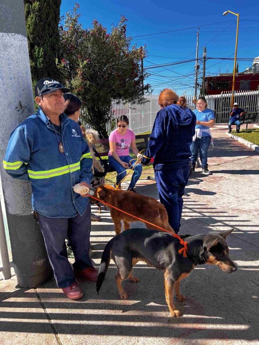 IMG 1044 scaled 1 scaled LLEGARÁ EL QUIRÓFANO VETERINARIO MÓVIL AL FRACCIONAMIENTO PALOMINO DENA Y NORIAS DE PASO HONDO