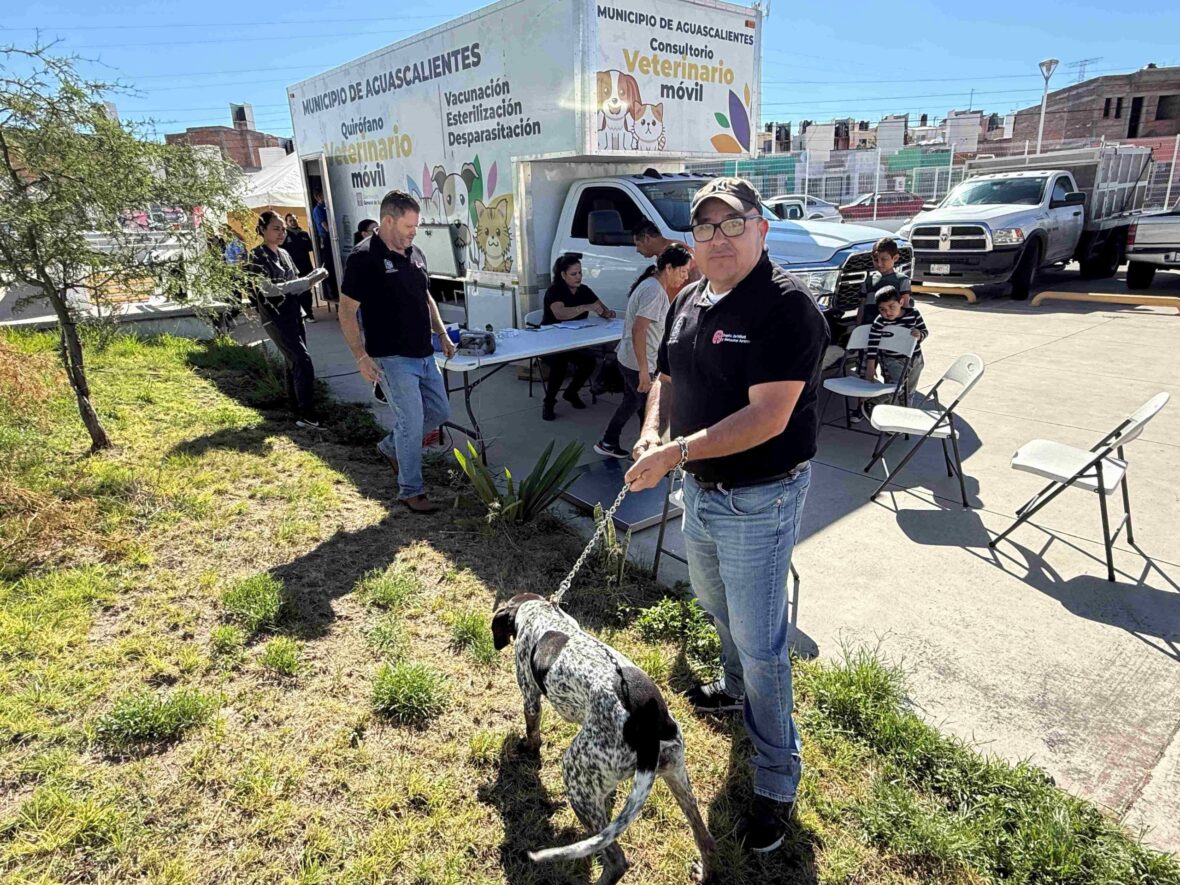IMG 5846 scaled 1 scaled EL QUIRÓFANO VETERINARIO MÓVIL DARÁ SERVICIO EN VIÑEDOS DEL SUR Y HACIENDA NUEVA