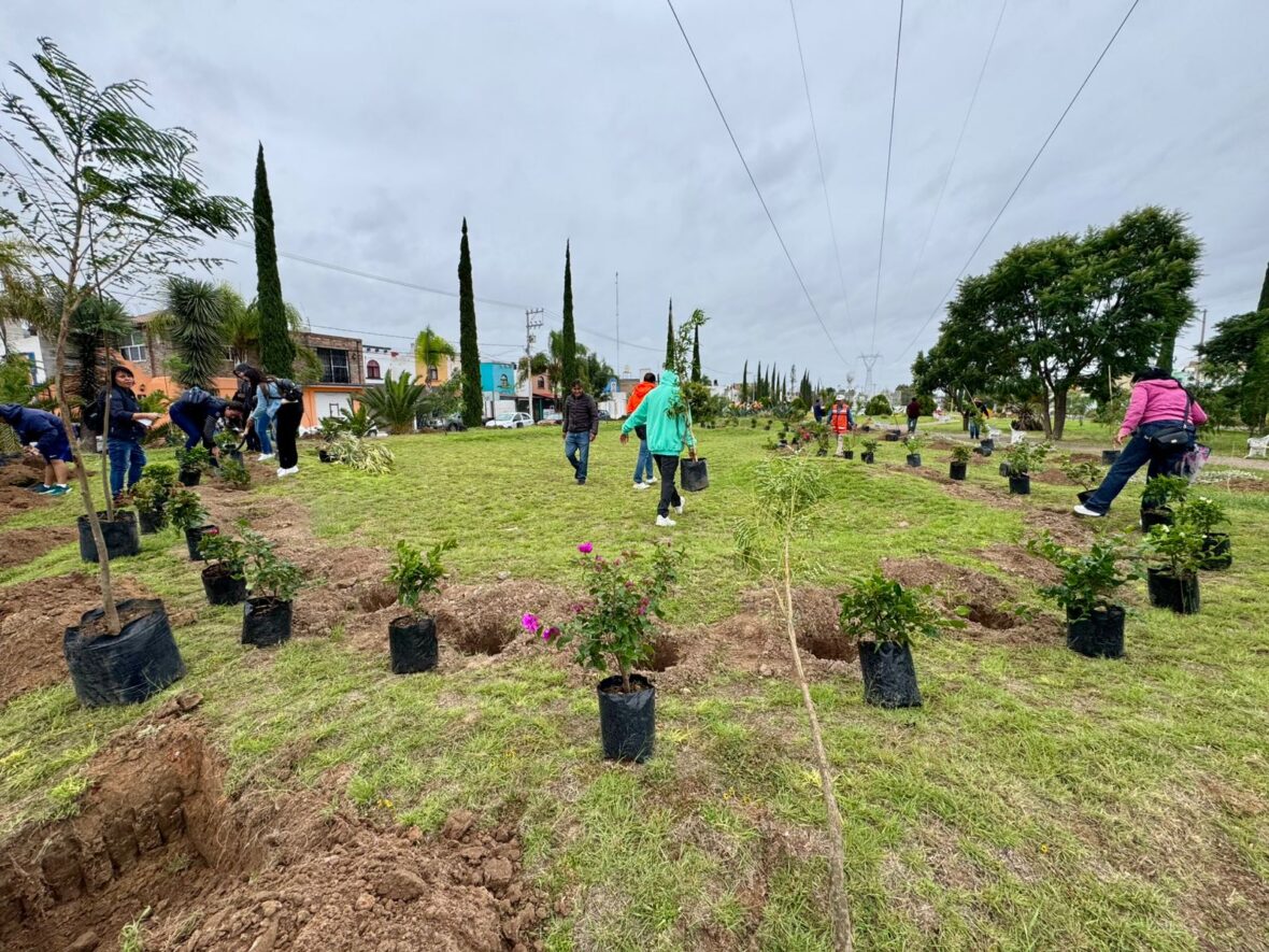 REFORESTACION 4 scaled CON ÉXITO CONCLUYE LA CAMPAÑA DE REFORESTACIÓN “ÁRBOLES FUERTES, HUELLAS GIGANTES 2025”; MÁS DE 125 MIL ÁRBOLES SE PLANTARON EN AGUASCALIENTES ESTE AÑO
