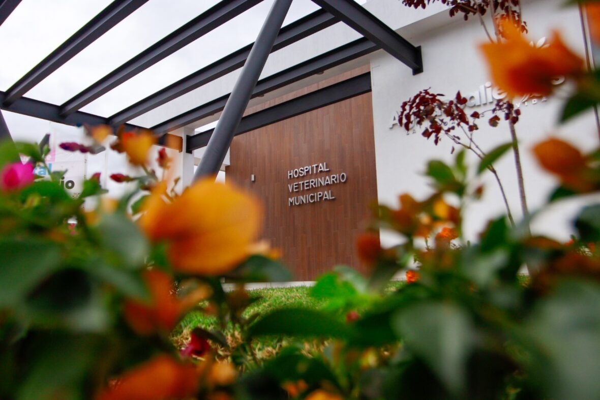 SAVE 20241021 143056 scaled PRÓXIMO 3 DE NOVIEMBRE INAUGURACIÓN DEL HOSPITAL VETERINARIO MUNICIPAL