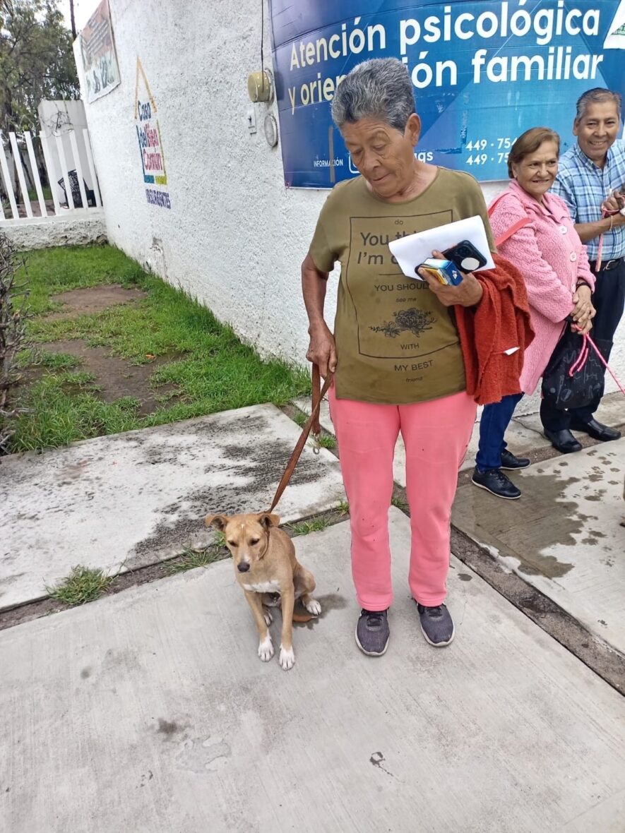 e0ad42ef 01c8 4425 a5e7 13ec72e20c90 scaled LLEVARÁN AL FRACCIONAMIENTO VILLA LOMA DORADA JORNADA DE ESTERILIZACIÓN CANINA Y FELINA GRATUITA