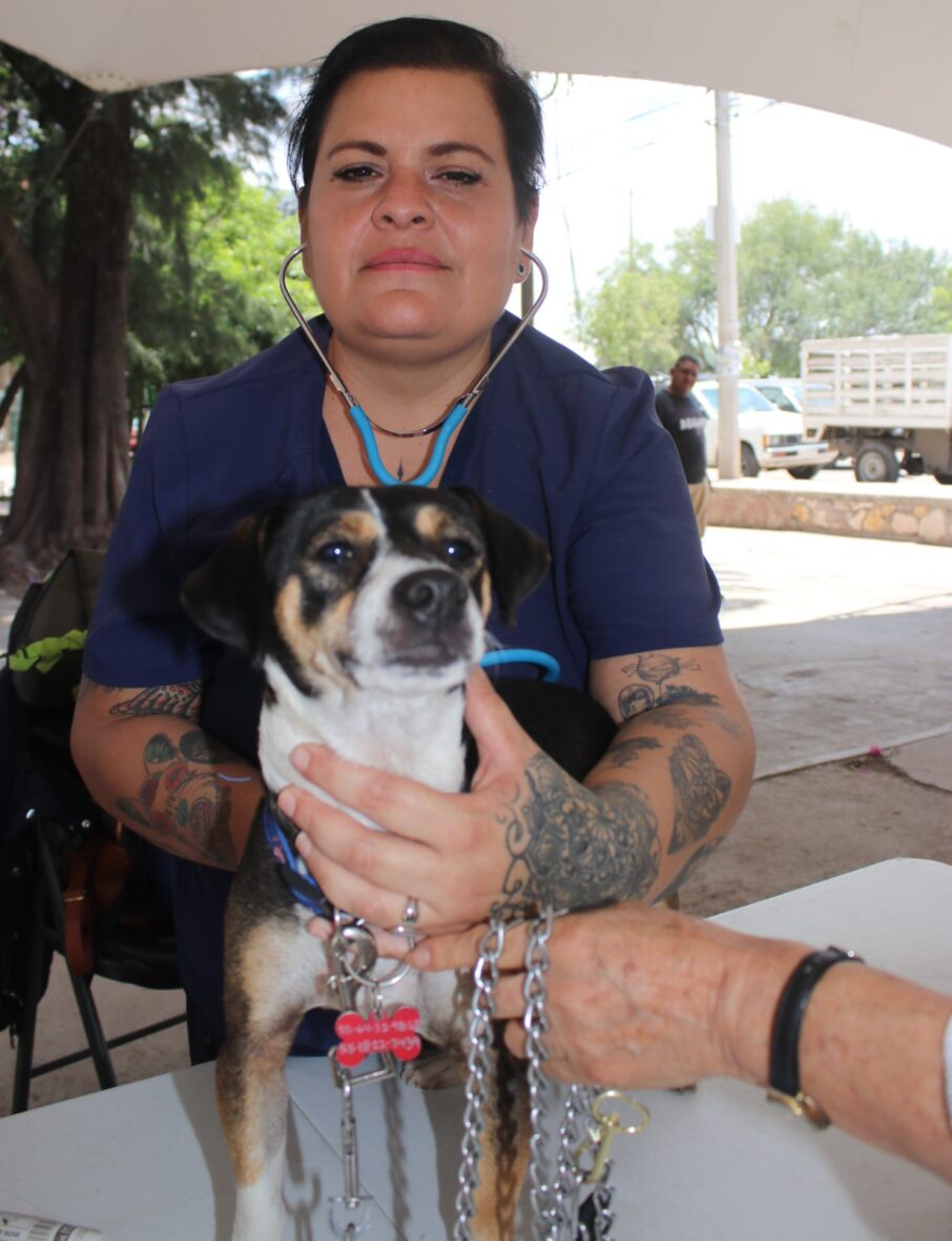 redes sociales 10 scaled SERVICIOS VETERINARIOS GRATUITOS ESTE VIERNES EN LA CONGOJA, SAN JOSÉ DE GRACIA