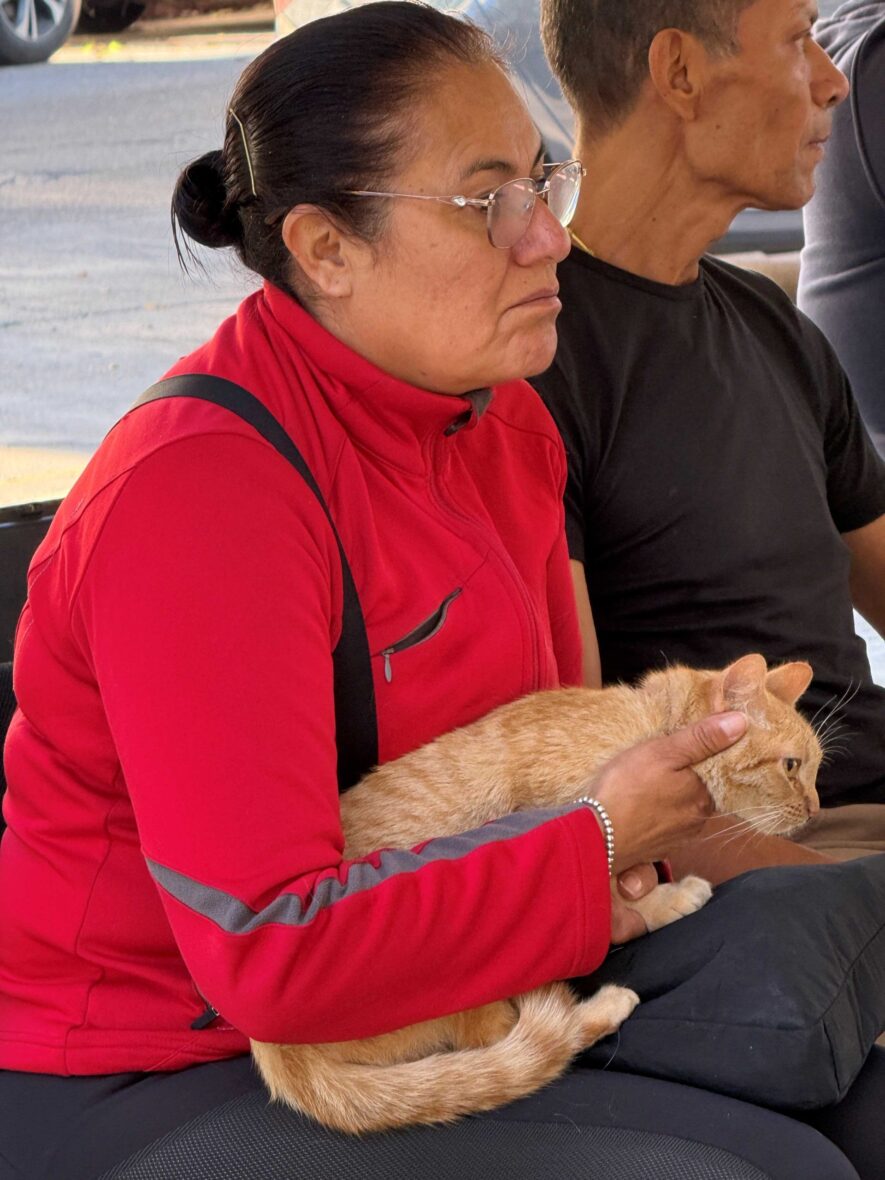IMG 6789 scaled 1 scaled LLEVARÁN JORNADAS DE ESTERILIZACIÓN CANINA Y FELINA A GUADALUPE PERALTA, PINTORES MEXICANOS Y OJO DE AGUA