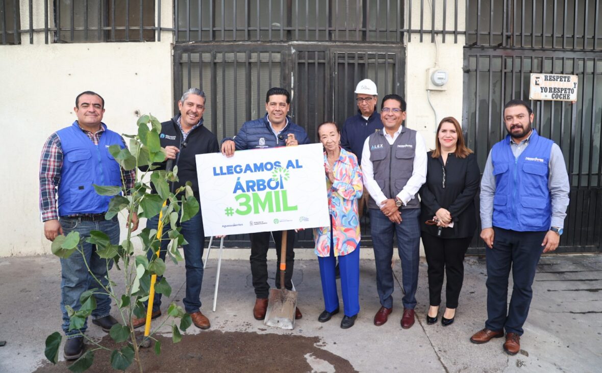 IMG 8930 scaled PLANTA LEO MONTAÑEZ EL EJEMPLAR NÚMERO 3 MIL DEL PROGRAMA “EL ÁRBOL DE MI CASA” EN EL BARRIO DEL ENCINO