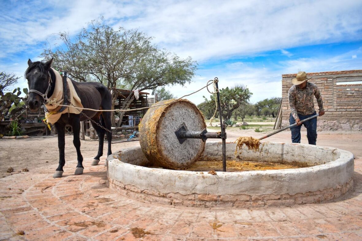 WhatsApp Image 2025 11 10 at 11.49.10 AM 2 scaled RECONOCEN A MEZCAL DE AGUASCALIENTES COMO UNO DE LOS MEJORES DE MÉXICO