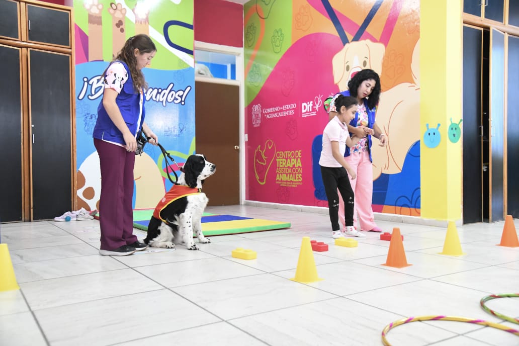 WhatsApp Image 2025 11 18 at 2.11.43 PM 1 ANIMALES QUE CAMBIAN VIDAS: CONOCE EL CENTRO DE TERAPIA ASISTIDA DEL DIF ESTATAL, PIONERO A NIVEL NACIONAL