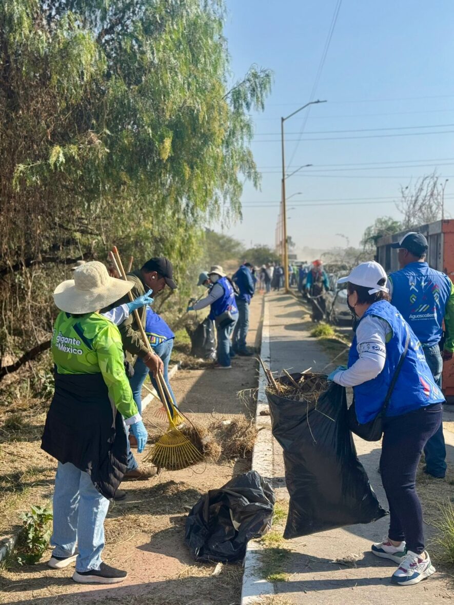 WhatsApp Image 2025 11 23 at 10.49.21 AM 8 scaled MÁS DE 300 VOLUNTARIAS Y VOLUNTARIOS SE SUMAN EN MEGALIMPIEZA DEL ARROYO EL CEDAZO