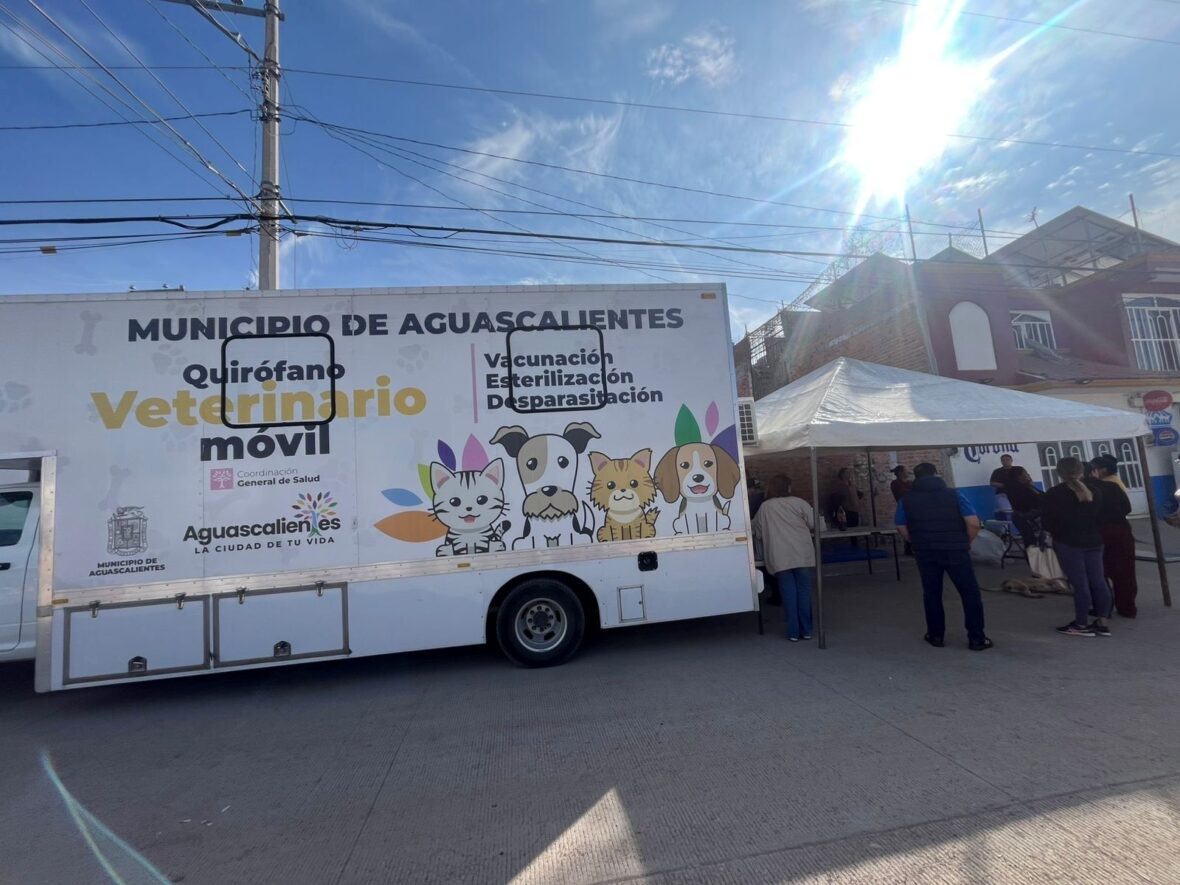 863f639e 3c1a 4cb4 8270 5cc30cadc0b9 scaled QUIRÓFANO VETERINARIO MÓVIL CIERRA 2025 CON JORNADAS EN VNSA, MIRADOR DE LAS CULTURAS Y EL MALACATE