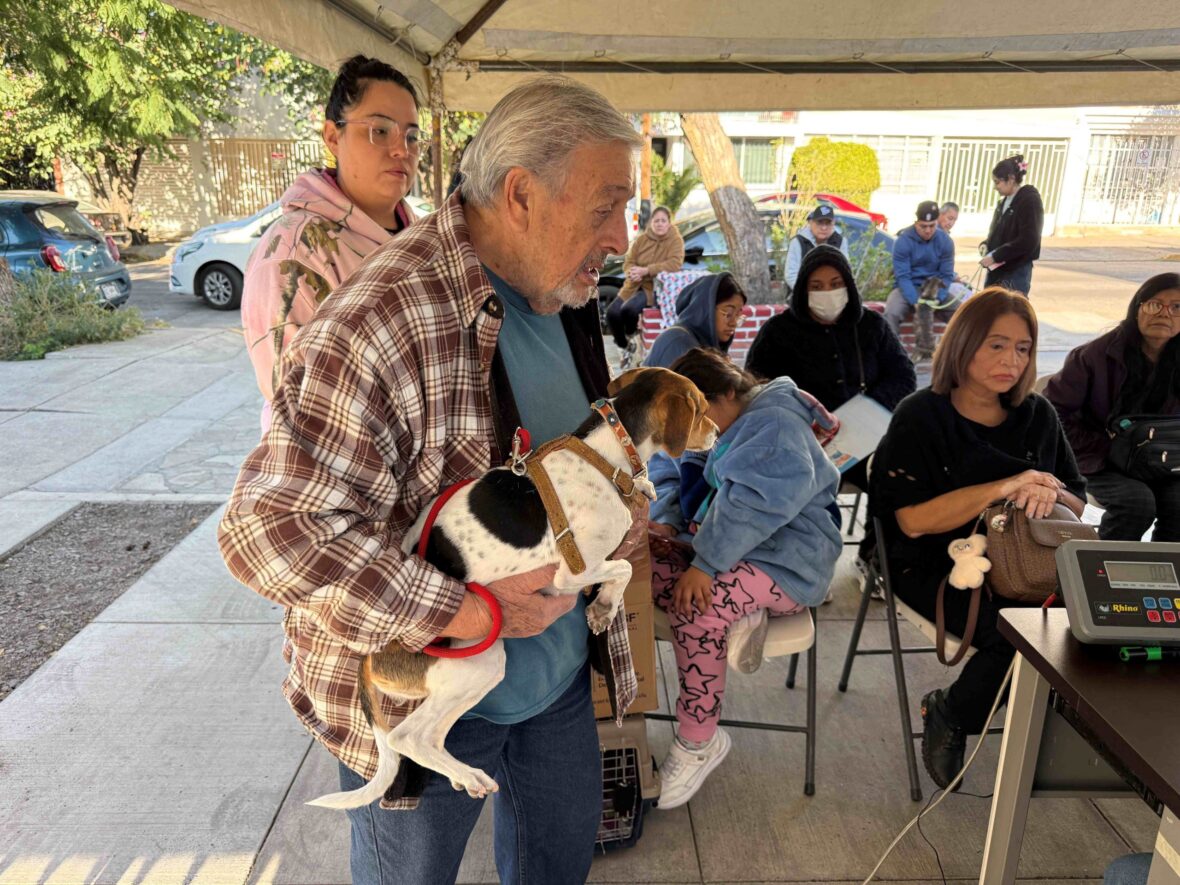 IMG 7621 scaled 1 scaled NUEVAS JORNADAS DE ESTERILIZACIÓN CANINA Y FELINA SE REALIZARÁN EN LAS DELEGACIONES MORELOS Y POCITOS