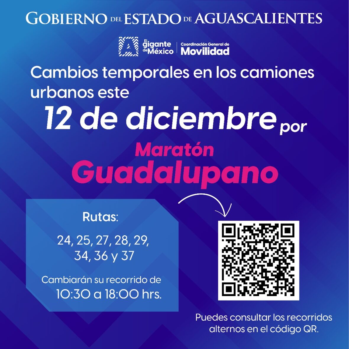 WhatsApp Image 2025 12 11 at 10.36.19 AM 3 scaled TRANSPORTE PÚBLICO TENDRÁ CAMBIOS TEMPORALES POR EL MARATÓN GUADALUPANO
