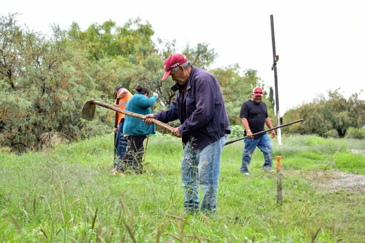 WhatsApp Image 2025 12 11 at 13.11.42 1 scaled CON EL PROGRAMA DE EMPLEO TEMPORAL, MUJERES DEL CAMPO ACCEDEN A MÁS OPORTUNIDADES Y MEJORES INGRESOS