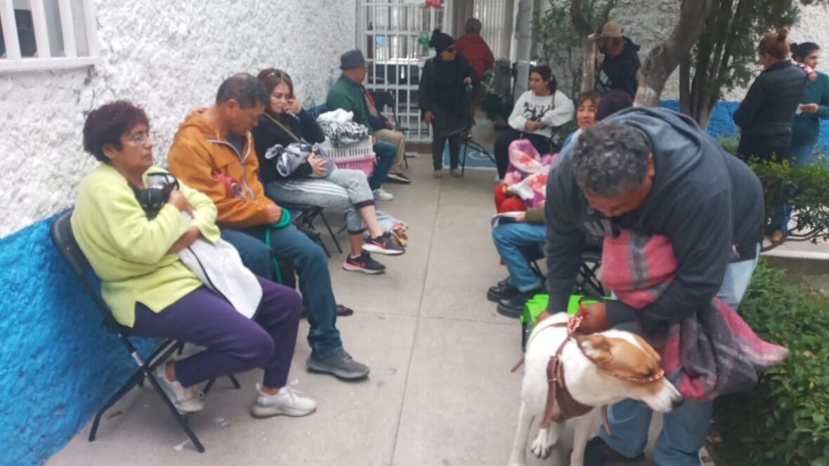 d80f8857 a63a 43af aa1d cfd6c2fbf6cf scaled MUNICIPIO E ISSEA REALIZARÁN JORNADAS DE ESTERILIZACIONES CANINAS Y FELINAS EN LA CONSTITUCIÓN Y LA PURÍSIMA