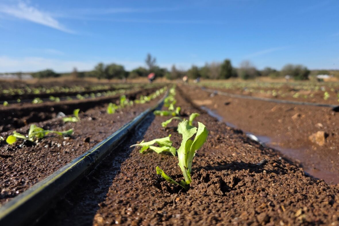 WhatsApp Image 2026 01 21 at 13.14.46 scaled GOBIERNO DEL ESTADO APOYA A PRODUCTORES PARA TECNIFICAR EL RIEGO DE CULTIVOS; REGÍSTRATE