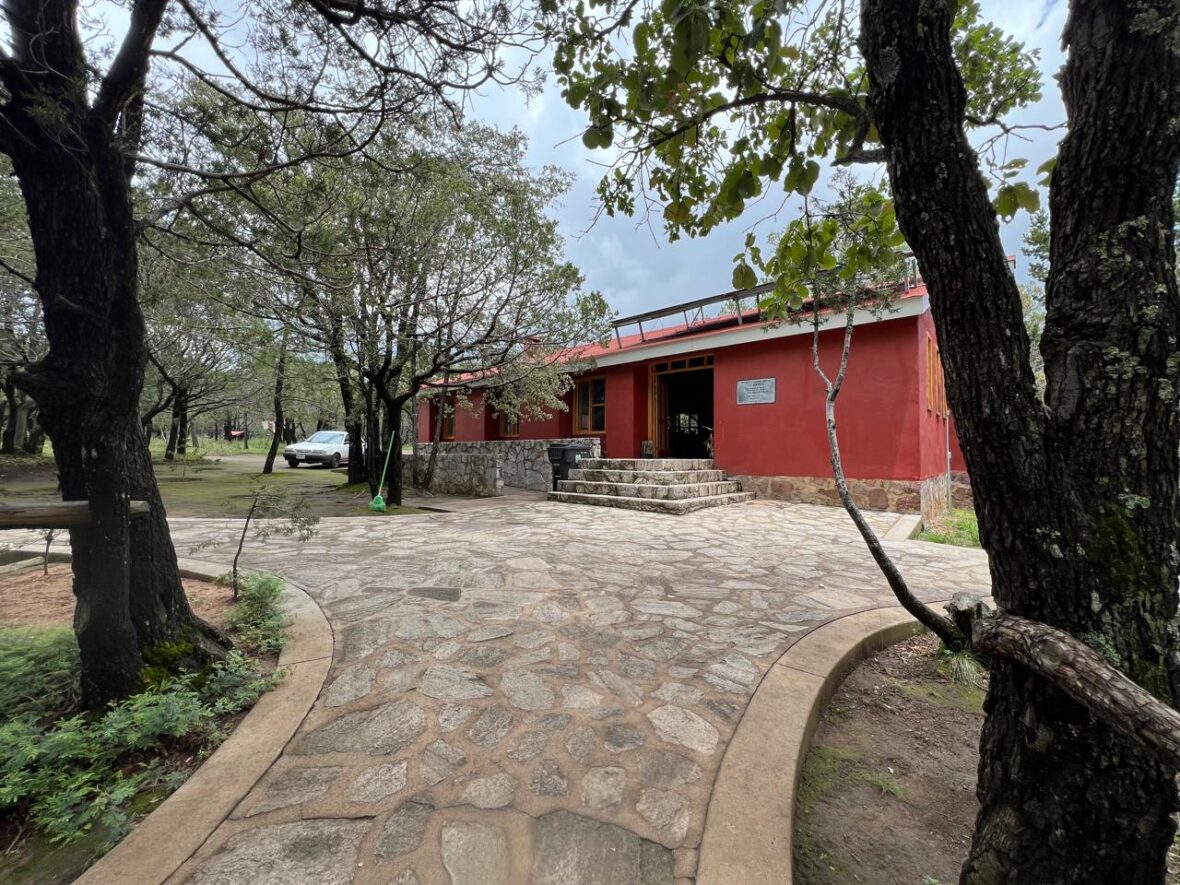 WhatsApp Image 2025 12 10 at 12.47.33 1 scaled VISITA LOS ALAMITOS EN LA SIERRA FRÍA: NATURALEZA, TALLERES Y EXPERIENCIAS ÚNICAS