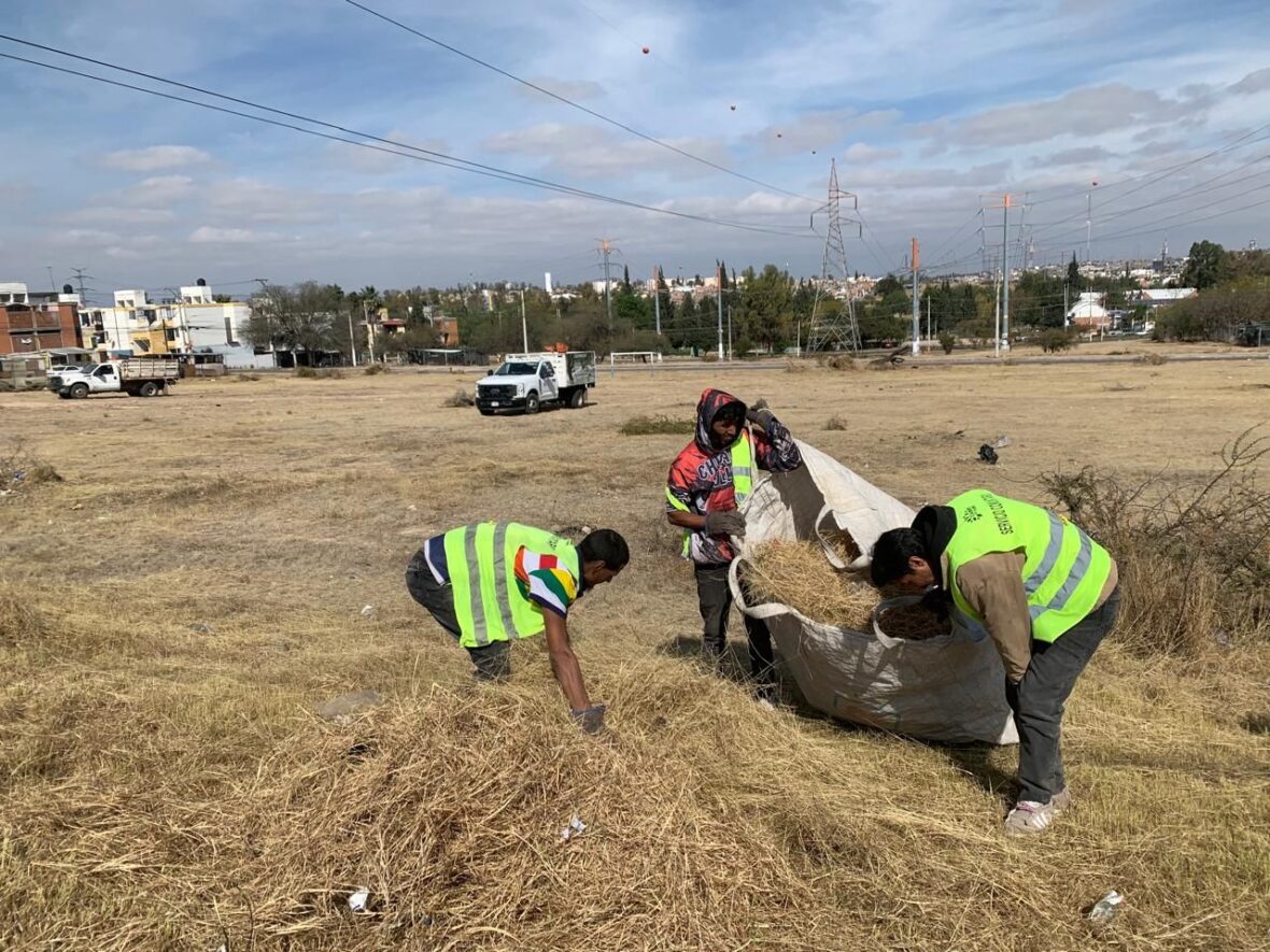 WhatsApp Image 2026 02 05 at 11.53.28 AM scaled REALIZA MUNICIPIO MEGA OPERATIVO DE LIMPIEZA EN EL FRACCIONAMIENTO MORELOS