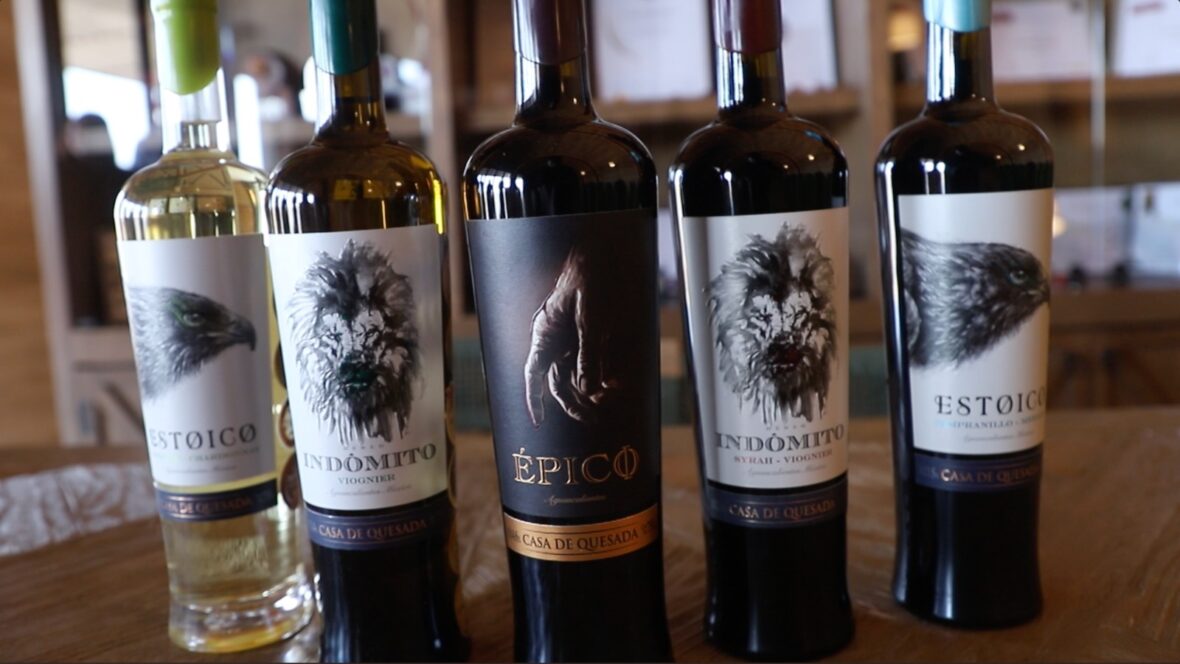 WhatsApp Image 2026 02 27 at 2.56.11 PM scaled VINOS DE AGUASCALIENTES GANAN 8 MEDALLAS EN CERTAMEN INTERNACIONAL EN JAPÓN