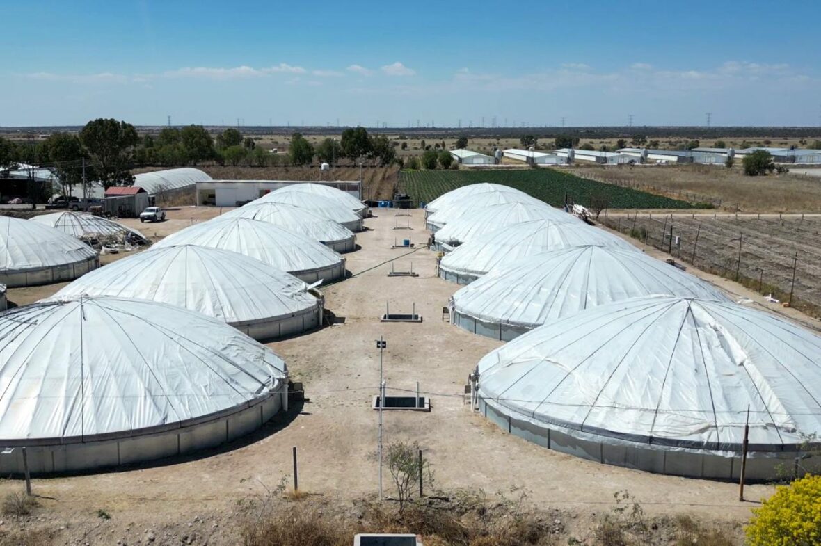 WhatsApp Image 2026 03 06 at 3.17.25 PM 1 scaled PESCADO DE CALIDAD PRODUCIDO EN AGUASCALIENTES PARA ESTA CUARESMA