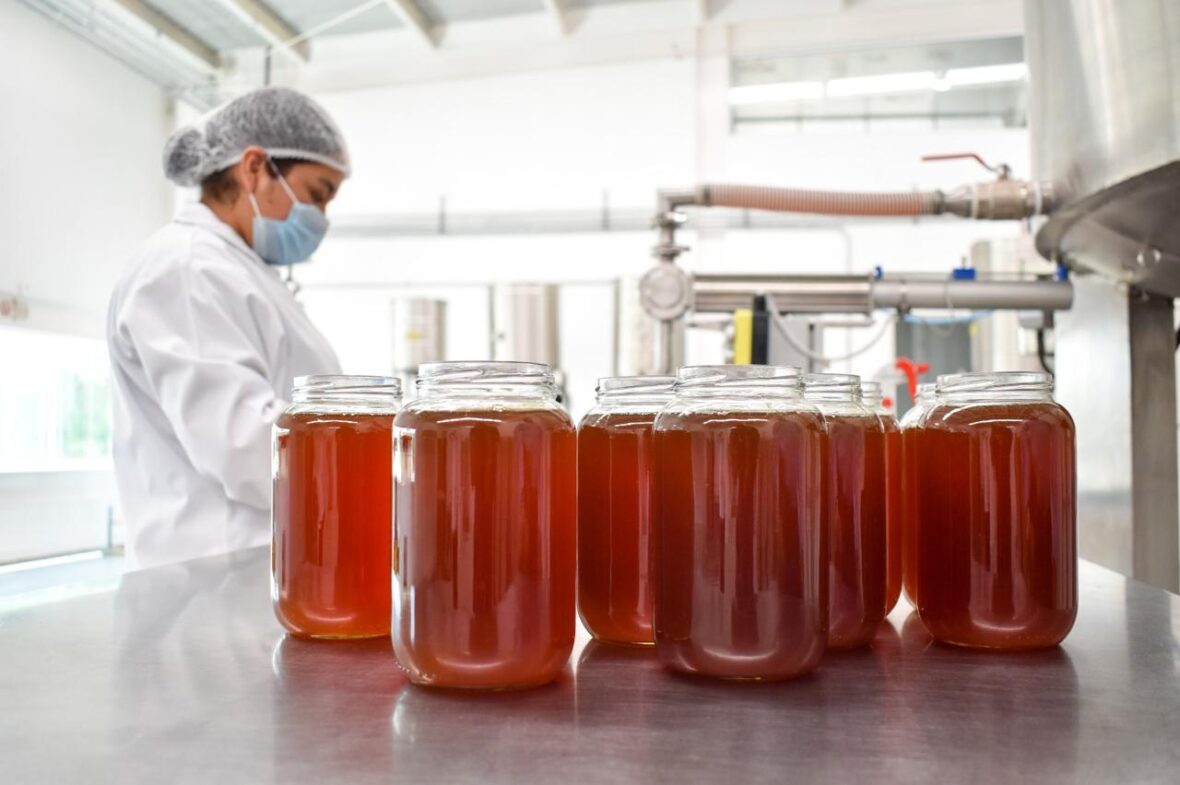 WhatsApp Image 2026 03 19 at 10.30.17 4 scaled MIEL DE LA CRUZ: TRABAJO CON PROPÓSITO QUE TRASPASA FRONTERAS