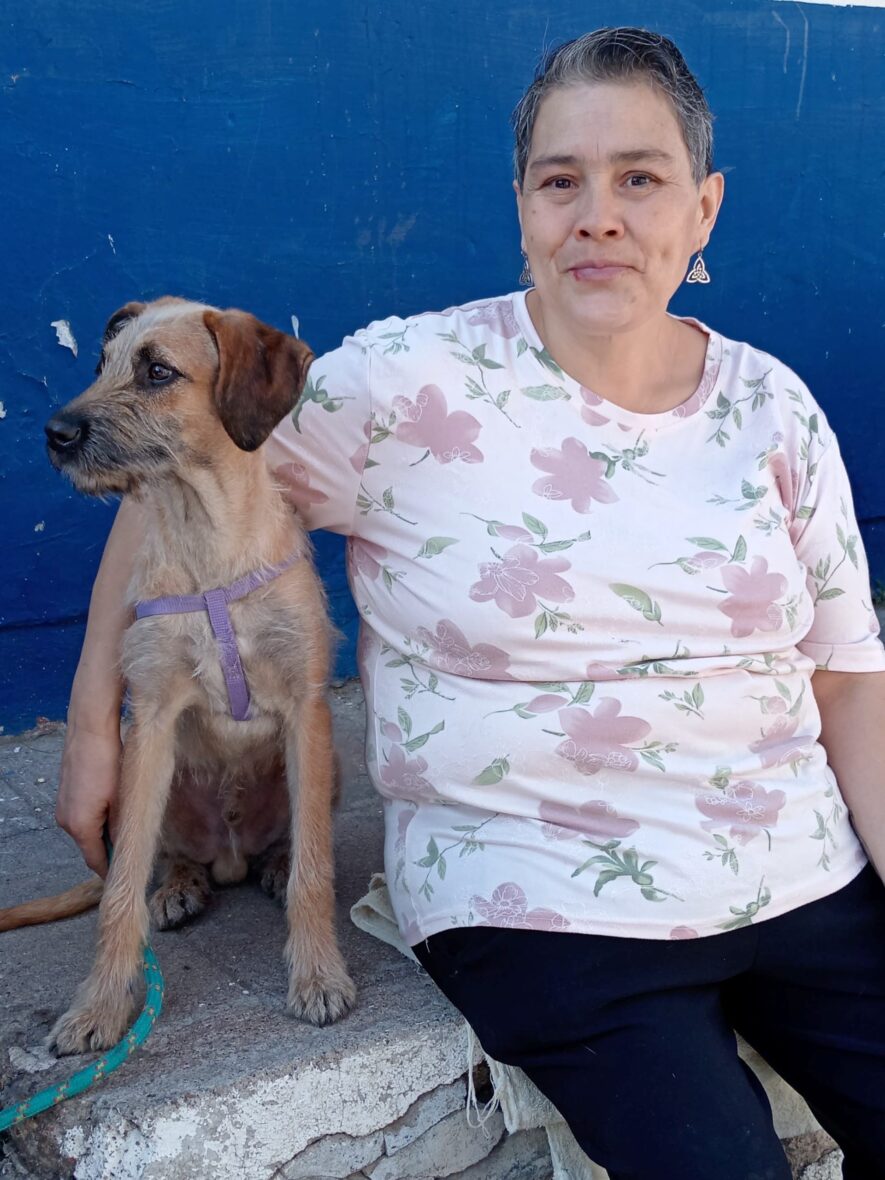 127104c1 aebb 431c af01 8df6a7d4bf1a scaled 1 scaled MUNICIPIO E ISSEA REALIZARÁN ESTERILIZACIONES CANINAS Y FELINAS EN EL CEDECO RODOLFO LANDEROS