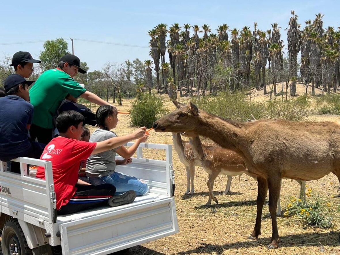 WhatsApp Image 2026 04 29 at 13.40.40 scaled EL PARQUE RODOLFO LANDEROS TENDRÁ SORPRESAS PARA CELEBRAR EL DÍA DEL NIÑO Y LA NIÑA