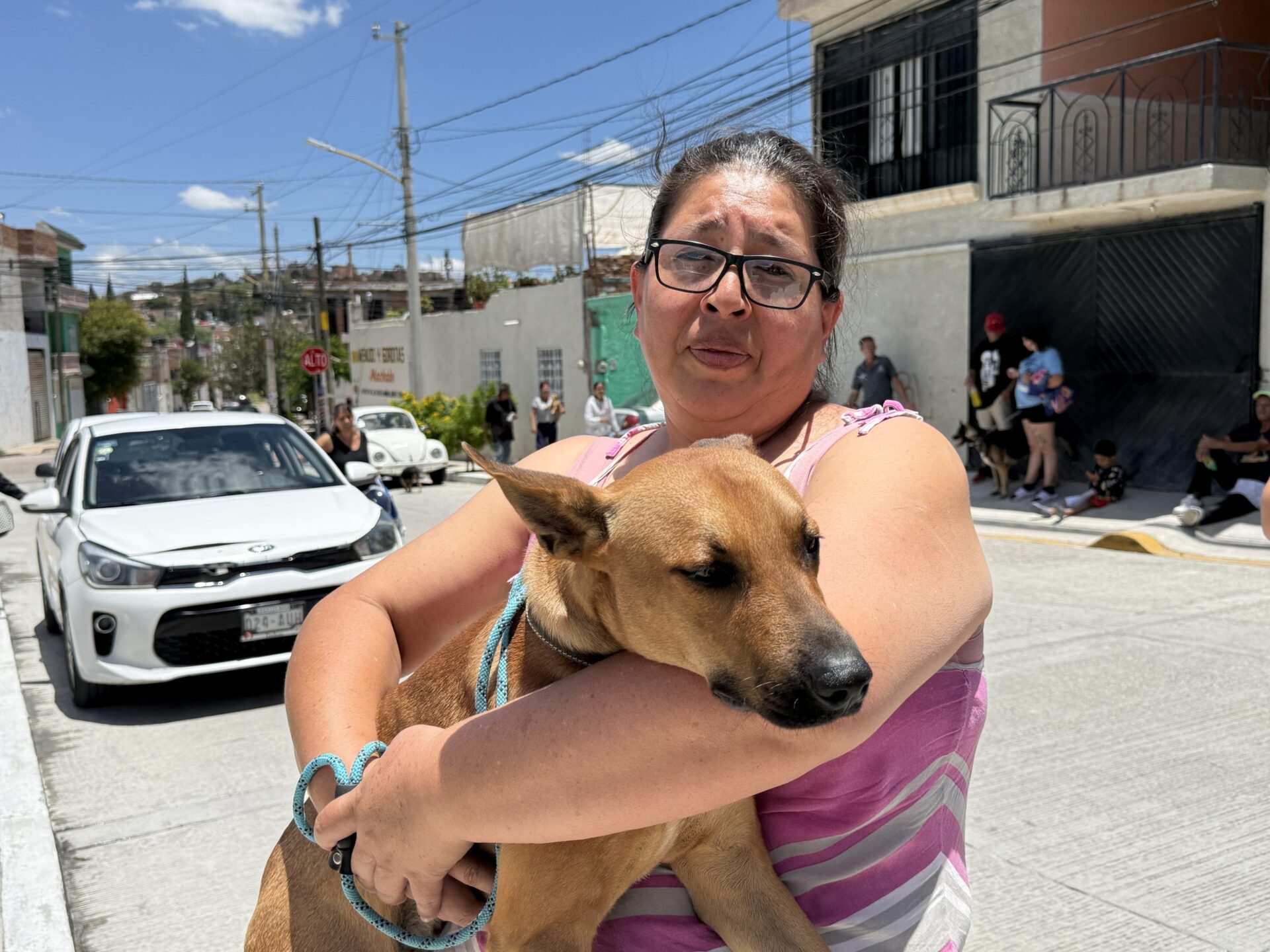 IMG 2326 scaled 1 scaled MUNICIPIO DE AGUASCALIENTES E ISSEA REALIZARÁN NUEVA JORNADA DE ESTERILIZACIÓN CANINA Y FELINA
